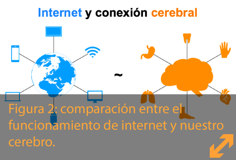 Internet & Brain Connection