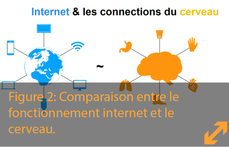 Internet & Brain Connection